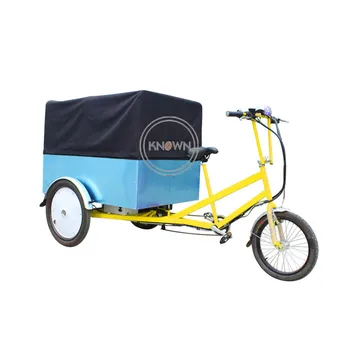 Noi Trei Roti Tricicleta Alimentare Mobile Cărucior Electric De Marfă Cu Bicicleta De Familie Livrare De Bunuri Cabină Trike