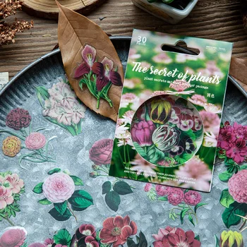 30buc/pachet Plante Secret de COMPANIE Autocolante Geanta Retro Flori de Mână-carte Material Autocolant Decorativ
